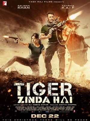 Điệp Viên Tiger 2 | Tiger Zinda Hai (2017)