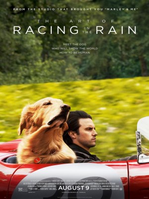 Cuộc Đời Phi Thường Của Chú Chó Enzo - The Art of Racing in the Rain