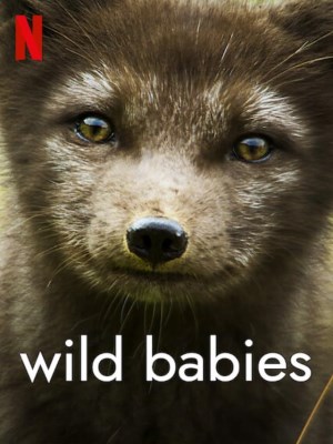 Động Vật Chào Đời | Wild Babies (2022)
