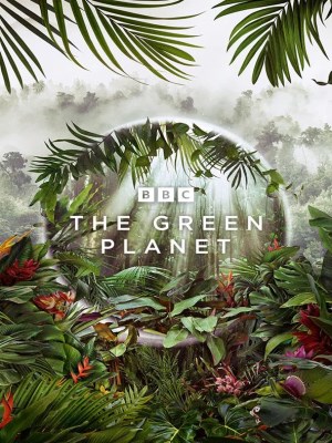 Hành Tinh Xanh - Tập 4 - The Green Planet